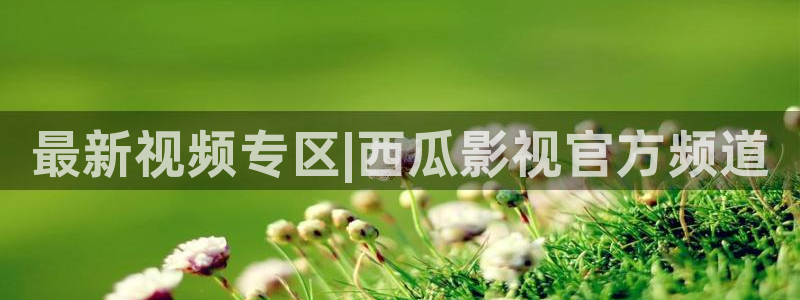 大地资源高清在线观看免费：最新视频专区|西瓜影视官方频道