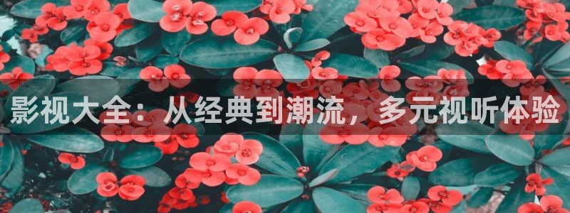 大地影视资源中文第1页：影视大全：从经典到潮流，多元视听体验