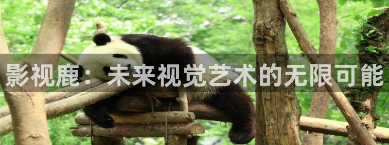 大地电影logo：影视鹿：未来视觉艺术的无限可能