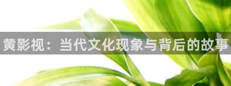 大地资源中文网高清在线观看