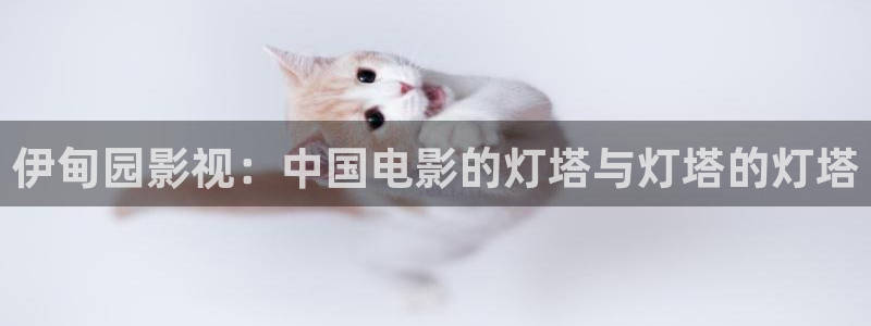 大地电影高清完整版在线观看