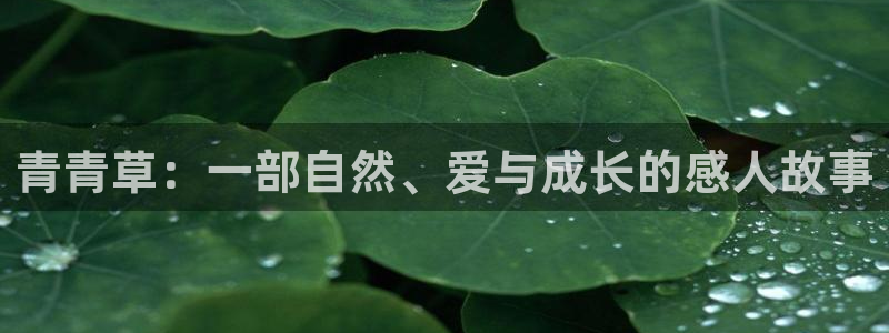 大地影院集团