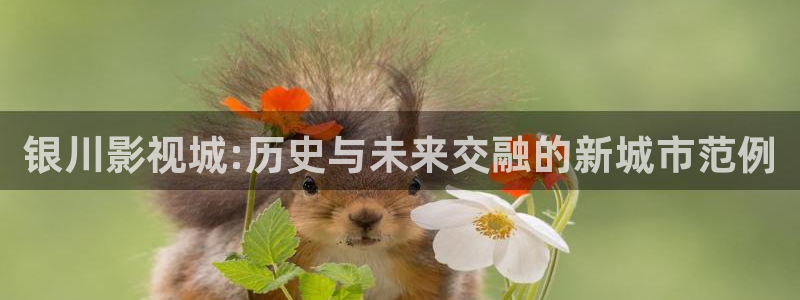 重庆大地影院