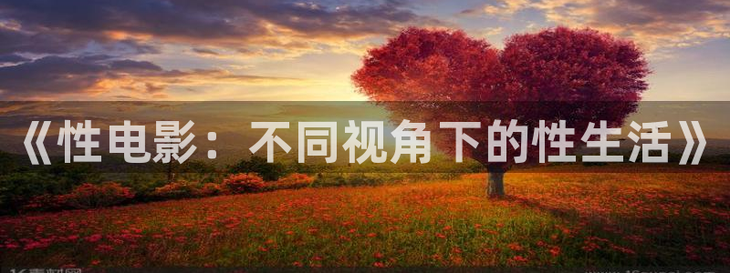 大地电影高清在线播放：《性电影：不同视角下的性生活》