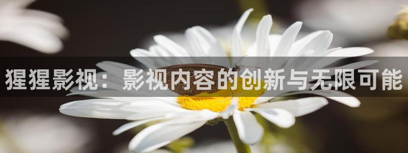 四平大地影院