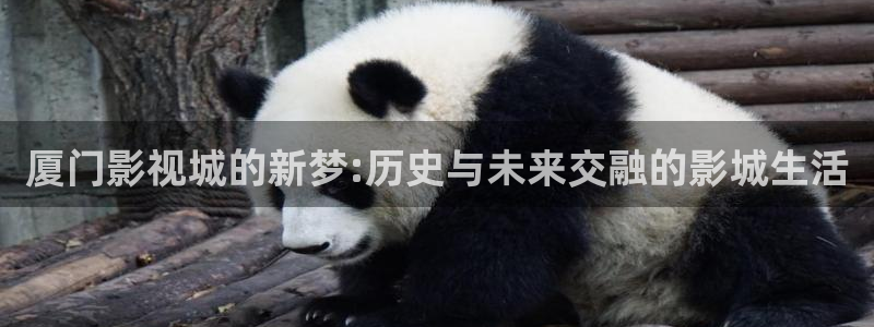 大地资源在线观看视频在线观看免费播放：厦门影视城的新梦:历史与未来交融的影城生活