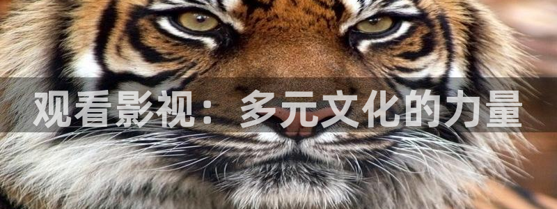 大地影视mv