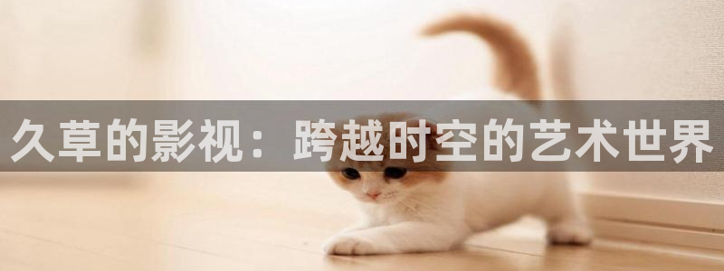 漳州大地电影影讯